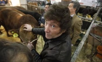 Milei se reúne con el campo mientras ATE marcha a Economía | Javier milei presidente