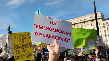 Ley de Emergencia en Discapacidad: desde Formosa advirtieron sobre las consecuencias de un posible veto