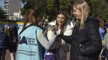 Sumá un perro o gato a tu vida: jornada de adopción en CABA