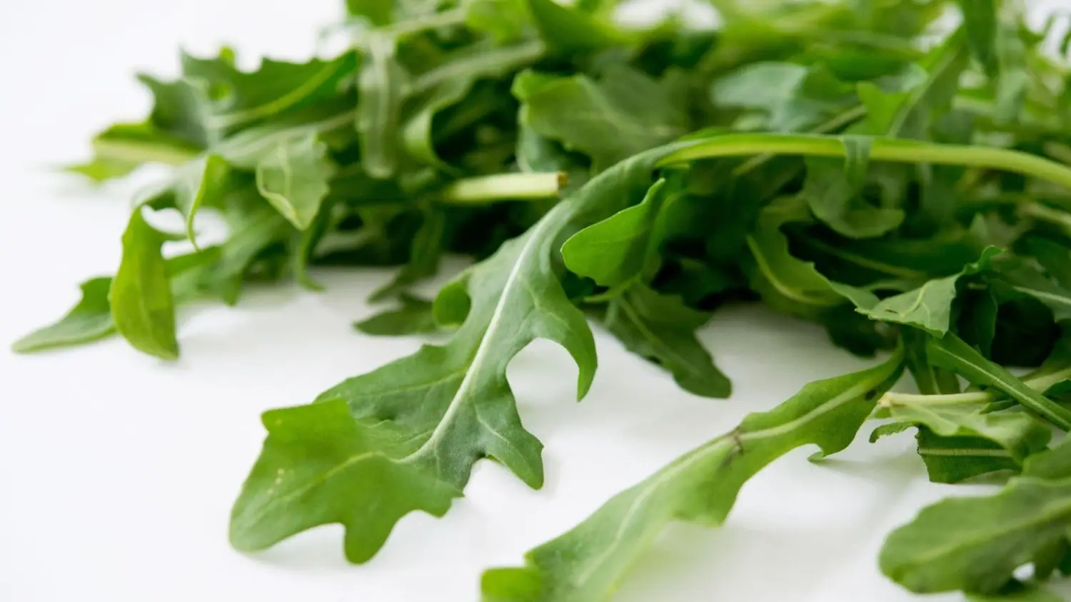 rúcula, acelga, espinaca, lechuga, verduras
