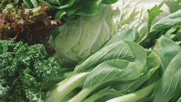 ¿Cómo conservar las verduras de hojas verdes en la heladera?