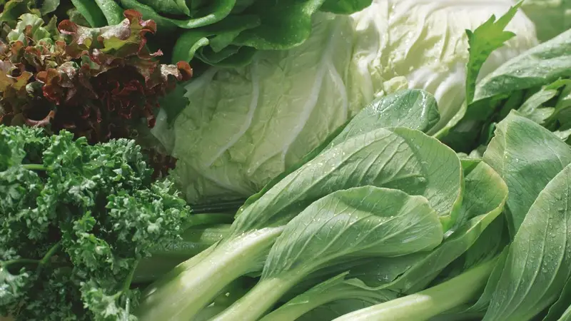 rúcula, acelga, espinaca, lechuga, verduras
