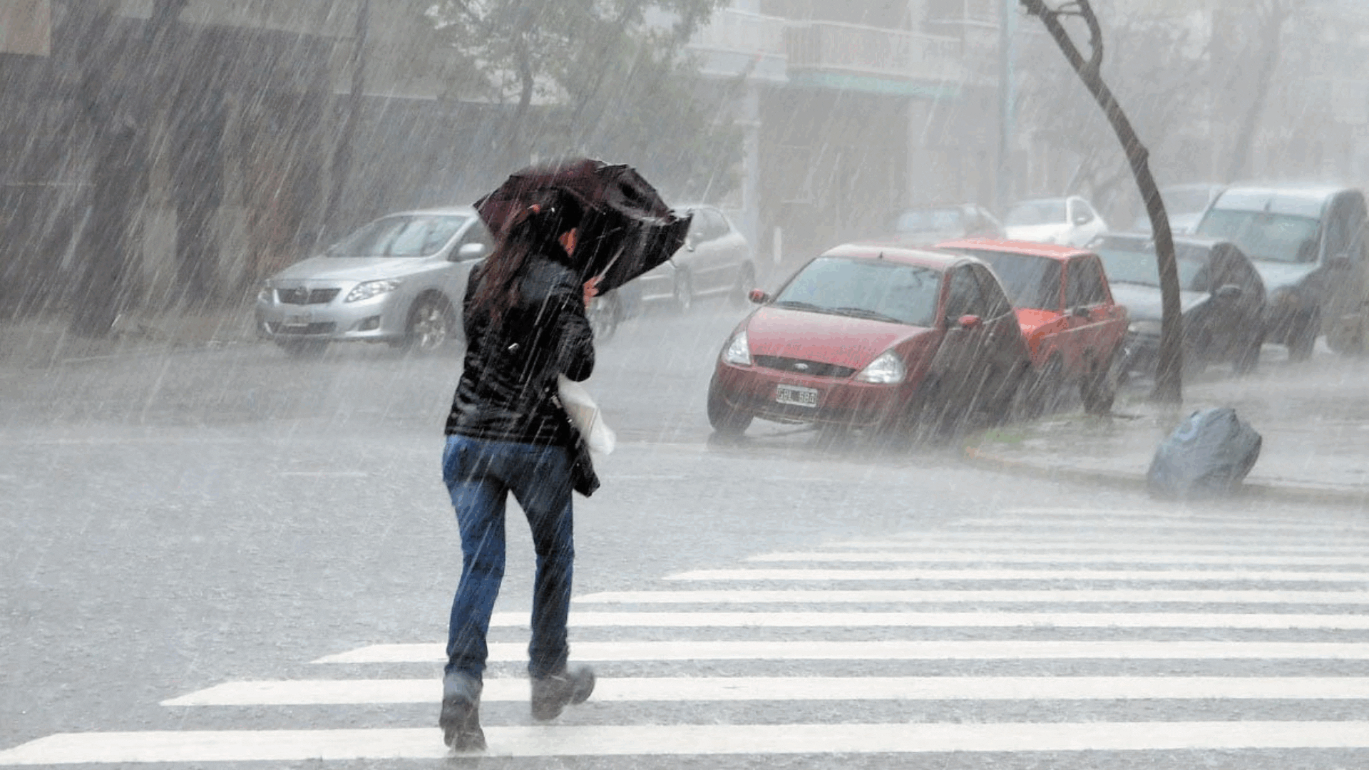 Rayos, truenos y apagones: por qué las tormentas son más intensas que hace 50 años