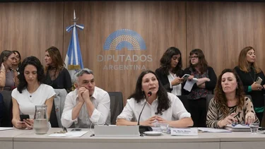 La oposición en Diputados se unió contra los discursos de odio del mileismo