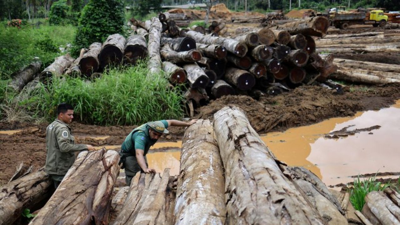 Legisladores brasileños flexibilizan permisos medioambientales antes de la cumbre COP30
