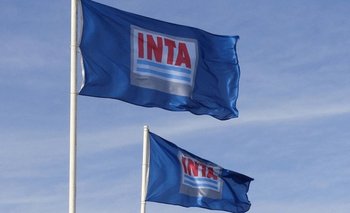 Alertaron por el futuro del INTA tras su reestructuración | Inta