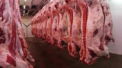 La nueva tendencia en Córdoba para hacerle frente a la crisis de Milei y ahorrar hasta un 40% en carne La nueva tendencia en Córdoba para hacerle frente a la crisis de Milei y ahorrar hasta un 40% en carne