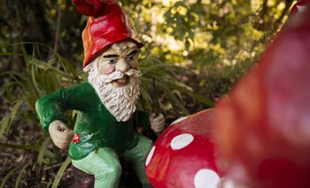 Cómo pedirle a los duendes que te devuelvan algo robado | Servicios
