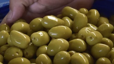 El impacto del clima en la producción olivícola: La Rioja registró una merma del 26% en aceite de oliva y 9% en aceitunas de mesa