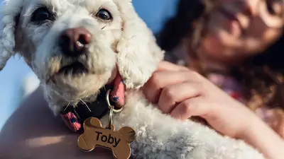 Los 10 nombres más creativos y curiosos para los perros, según la Inteligencia artificial Los 10 nombres más creativos y curiosos para los perros, según la Inteligencia artificial