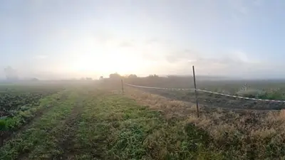 Horror en La Plata: tras horas de búsqueda, un nene de 2 años fue hallado muerto en un campo Horror en La Plata: tras horas de búsqueda, un nene de 2 años fue hallado muerto en un campo