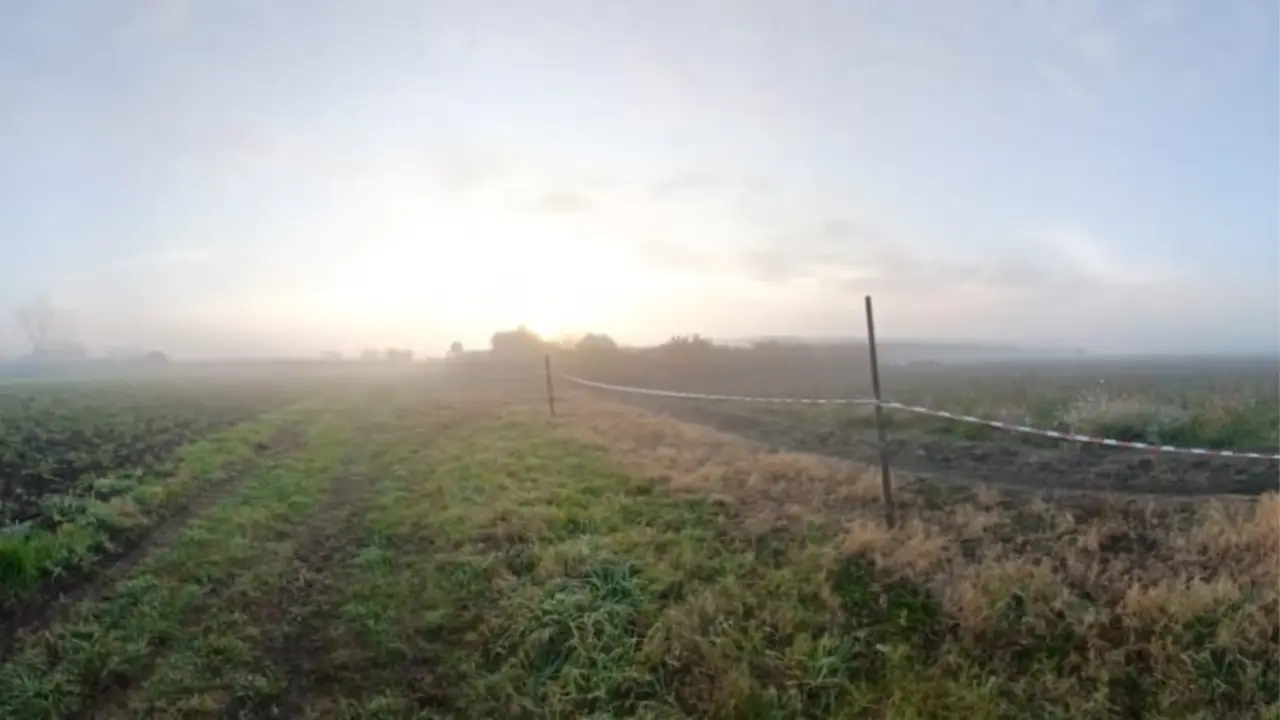 Horror en La Plata: tras horas de búsqueda, un nene de 2 años fue hallado muerto en un campo