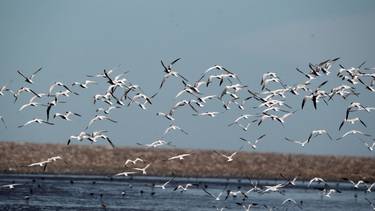 Ni Pinamar ni Mar del Plata: la playa más tranquila de la costa con una reserva ecológica para una escapada