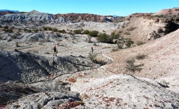 Descubrieron fósiles de hace 10 millones de años en Los Llanos: los detalles | Fósiles