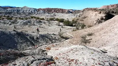 Un hallazgo histórico: descubrieron fósiles de mamíferos extintos hace 10 millones de años en La Rioja Un hallazgo histórico: descubrieron fósiles de mamíferos extintos hace 10 millones de años en La Rioja