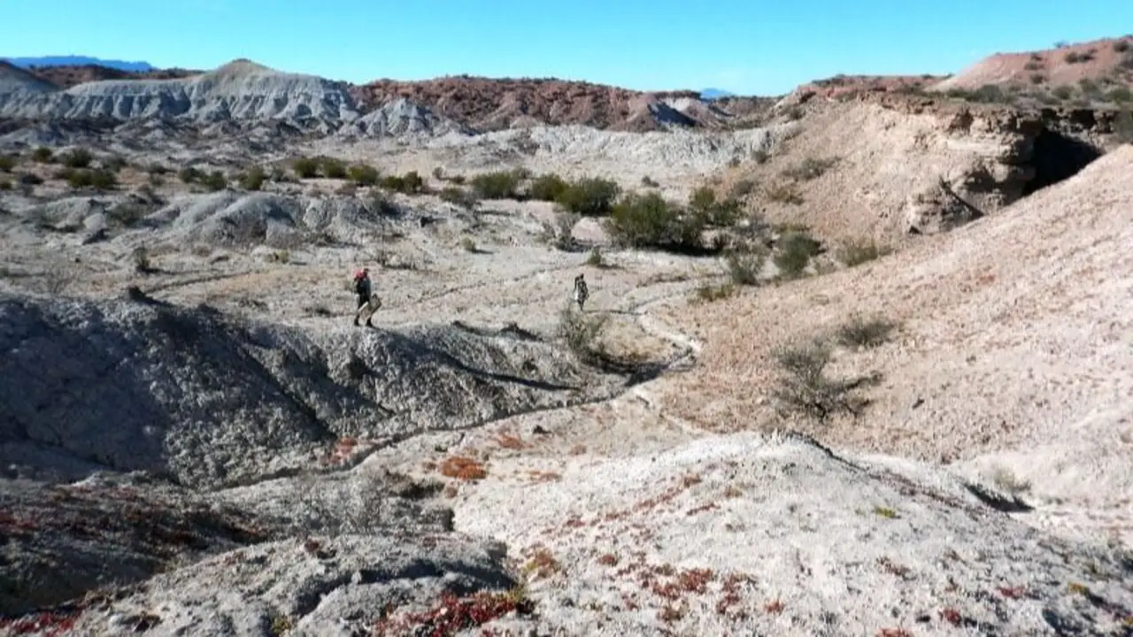 Un hallazgo histórico: descubrieron fósiles de mamíferos extintos hace 10 millones de años en La Rioja