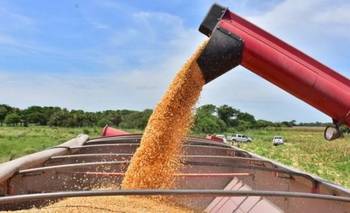 Más inflación en alimentos, el otro peligro de la guerra para Argentina | Conflicto en medio oriente