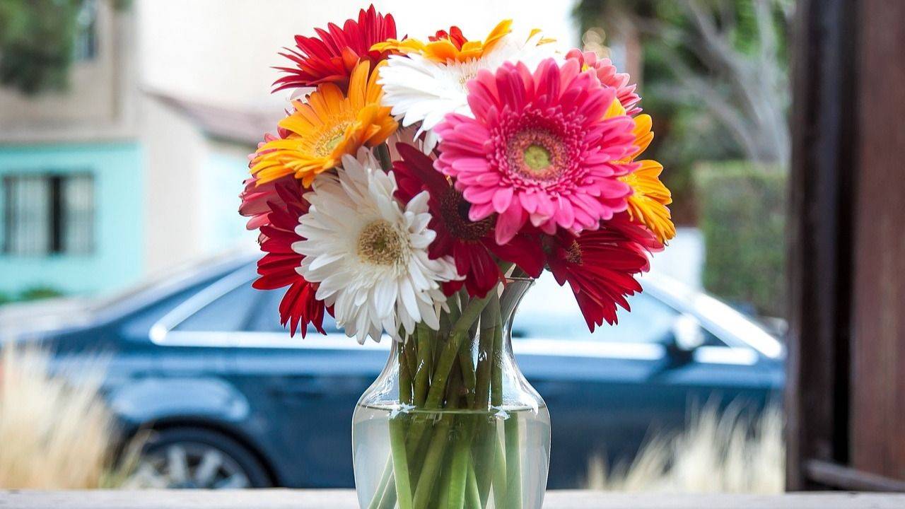 Cómo conservar las flores frescas en floreros. Tip con una moneda para conservar las flores frescas por mucho más tiempo. 