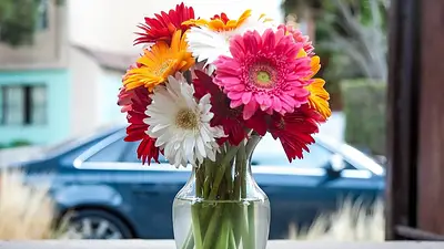 Cómo conservar las flores frescas en floreros. Tip con una moneda para conservar las flores frescas por mucho más tiempo. Cómo conservar las flores frescas en floreros. Tip con una moneda para conservar las flores frescas por mucho más tiempo.