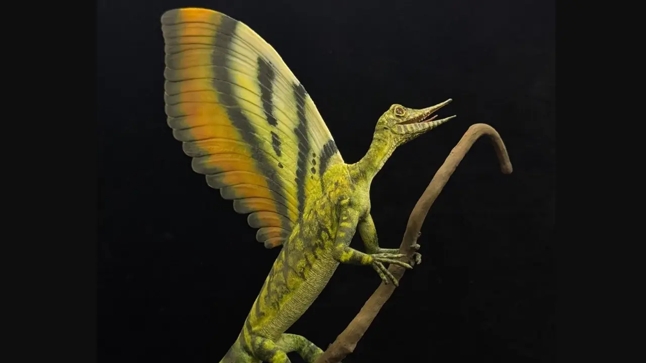 Descubren un nuevo reptil que desafía a toda la teoría de la evolución de los animales