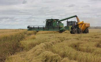 El Gobierno continúa con el acompañamiento a los productores | Producción