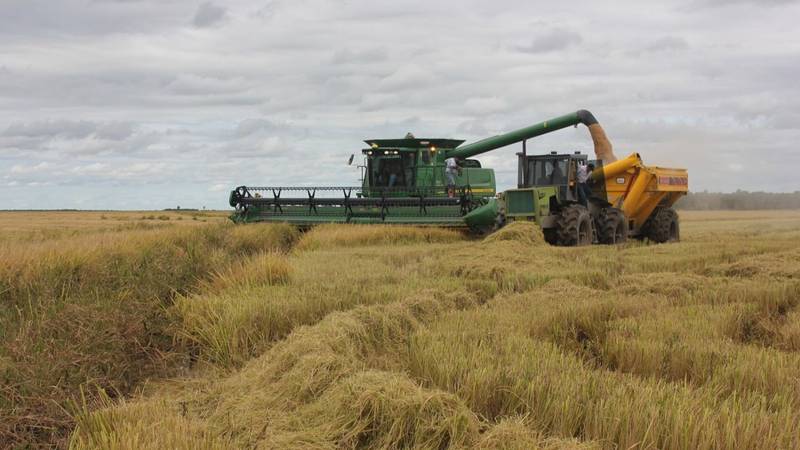 Impulso al campo: el Gobierno de Formosa continúa con el acompañamiento a los productores locales