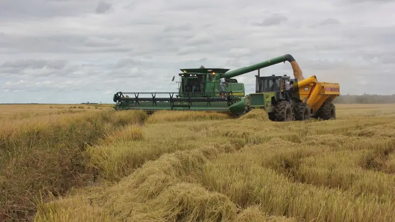 Impulso al campo: el Gobierno de Formosa continúa con el acompañamiento a los productores locales