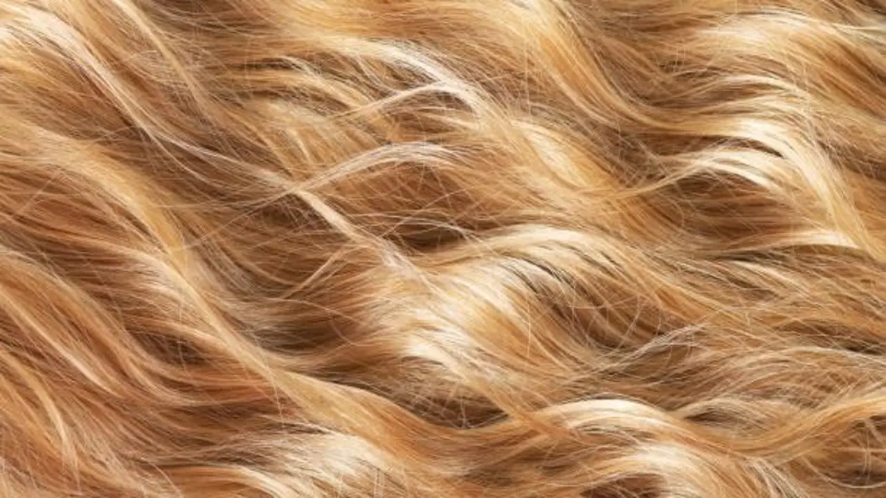 Cómo es el Honey Blonde. 