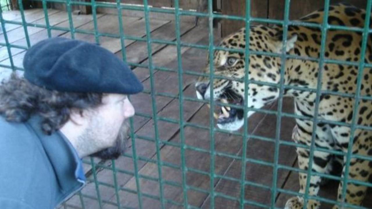 Uno es empleado judicial y el otro psicólogo, pero llenan el norte argentino de cámaras trampa para salvar a los últimos yaguaretés 