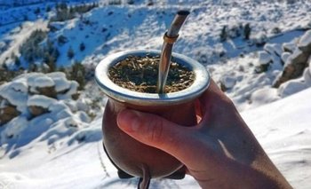 Qué pasa si tomamos mate cuando hace frío | Salud