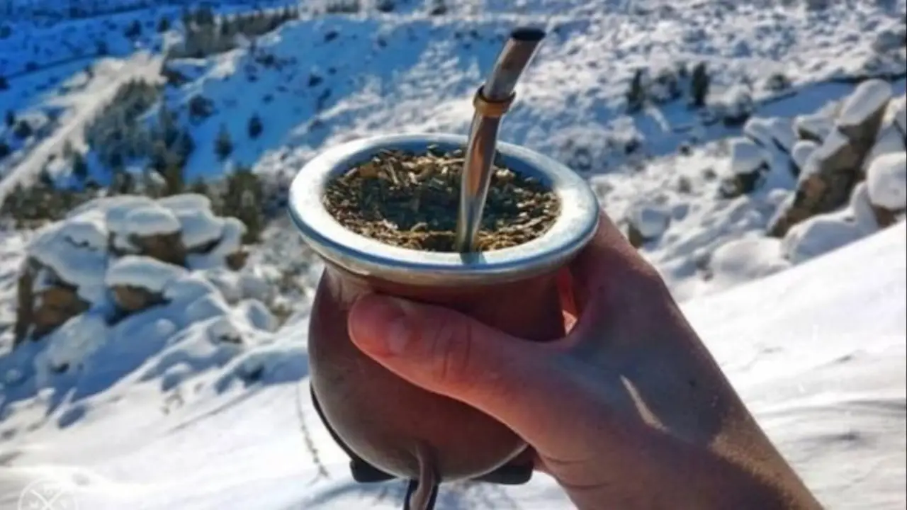 Mate en invierno.