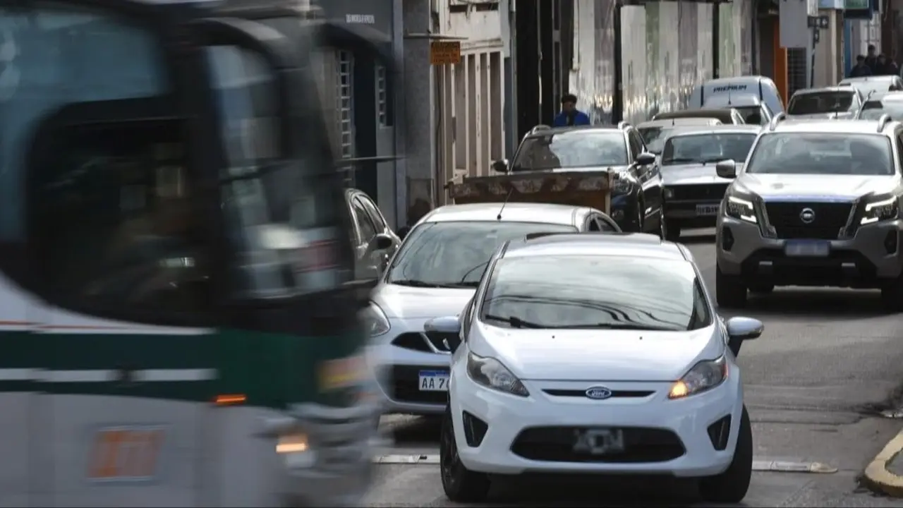 auto, tránsito, licencia de conducir, esquinas