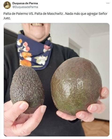 palta, tipos de paltas, frutas, comida