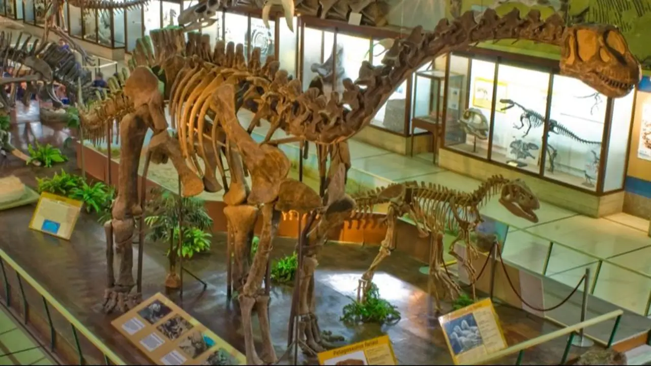 Museo de Ciencias Naturales CABA.