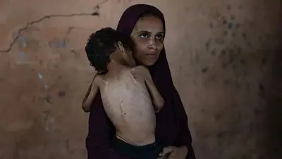 "El peor escenario de hambruna está en curso" en Gaza, advirtió el principal observador de crisis alimentarias en el mundo "El peor escenario de hambruna está en curso" en Gaza, advirtió el principal observador de crisis alimentarias en el mundo