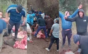 Faenan vacas al costado de un camino rural: "Si hay miseria que no se note" | El destape córdoba