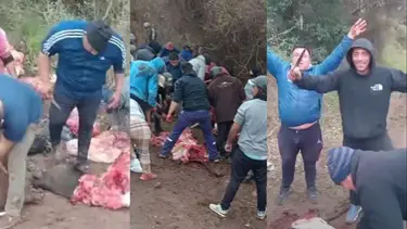 Faenaron vacas al costado de un camino rural en Córdoba: "Si hay miseria que no se note"