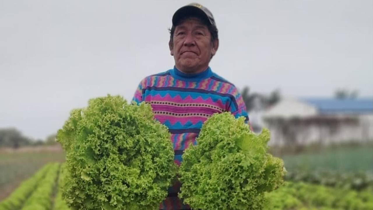 Soberanía alimentaria: Paipperos sostienen la producción local y celebran el apoyo de Insfrán