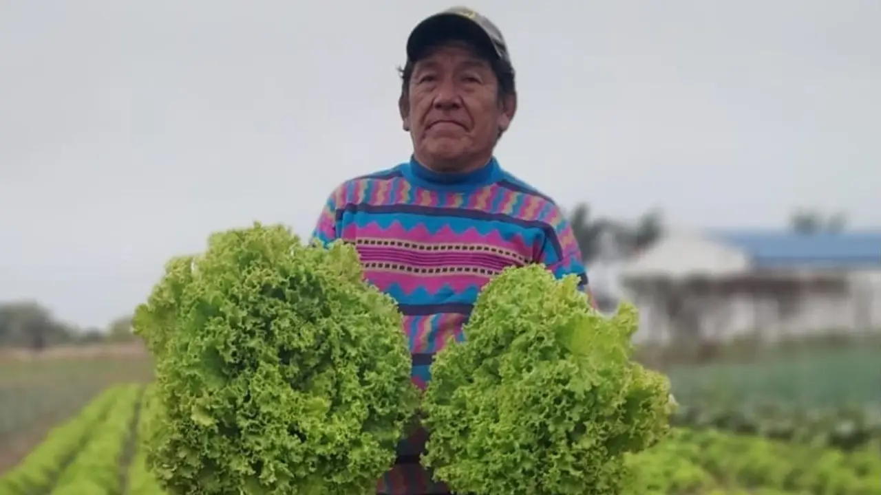 Soberanía alimentaria: Paipperos sostienen la producción local y celebran el apoyo de Insfrán