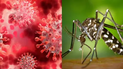 Salud pública y de calidad: el éxito formoseño en su lucha contra el COVID-19 y el dengue Salud pública y de calidad: el éxito formoseño en su lucha contra el COVID-19 y el dengue