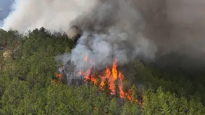Los bomberos luchan contra las llamas en Turquía, Grecia y Albania tras días de calor abrasador Los bomberos luchan contra las llamas en Turquía, Grecia y Albania tras días de calor abrasador