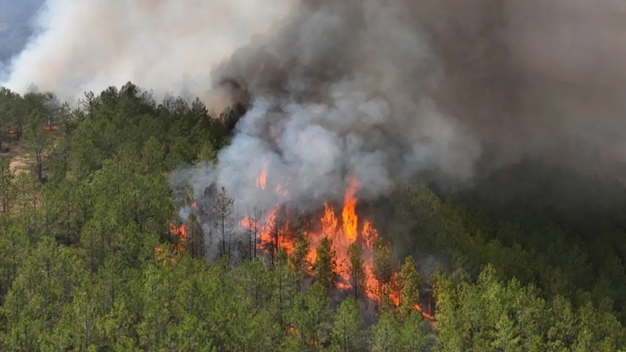Los bomberos luchan contra las llamas en Turquía, Grecia y Albania tras días de calor abrasador