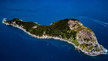 Parece un paraíso para turistas en Brasil, pero su ingreso está prohibido: la isla donde nadie sobrevive