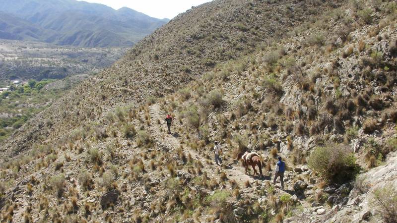 Buscan desesperadamente a un nene de 11 años en Catamarca: fue a buscar un animal y desapareció sin dejar rastros Buscan desesperadamente a un nene de 11 años en Catamarca: fue a buscar un animal y desapareció sin dejar rastros
