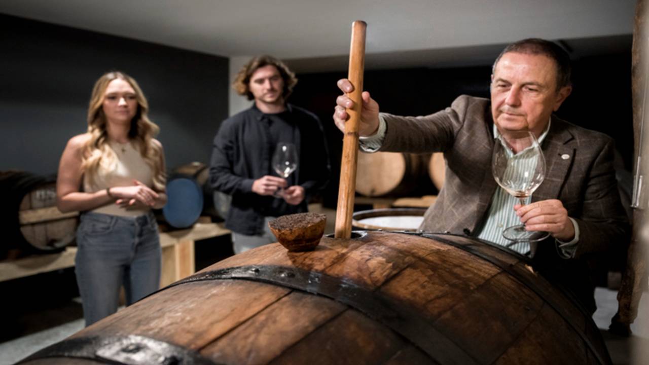 Descubre los secretos de las bodegas turísticas