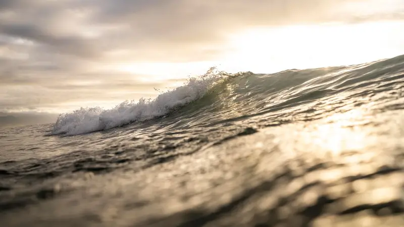 Tsunami