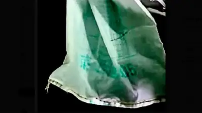 Sorpresa: se encontraron caracteres chinos en el Cañón Submarino de Mar del Plata Sorpresa: se encontraron caracteres chinos en el Cañón Submarino de Mar del Plata