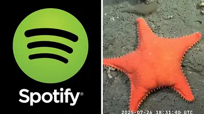 Cómo es la colaboración de Spotify con el CONICET. Cómo es la colaboración de Spotify con el CONICET.