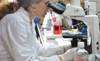 PBA lanzó una convocatoria para proyectos de investigación y se anotaron 180 iniciativas | Provincia de buenos aires