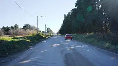 Camino de tierra Camino de tierra